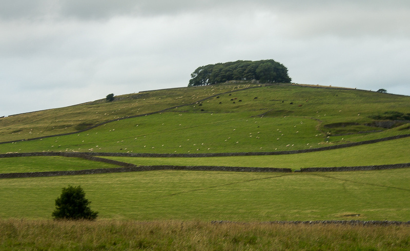 Johnson's Knoll Johnson's Knoll